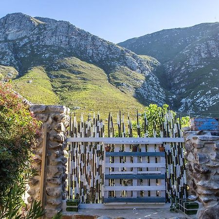 Hotel The Trailhouse Bettyʼs Bay Zewnętrze zdjęcie