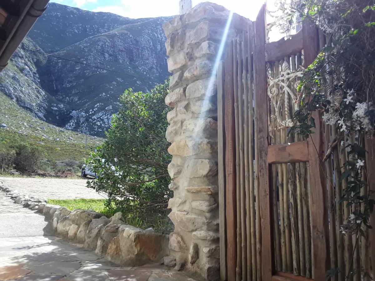 Hotel The Trailhouse Bettyʼs Bay Zewnętrze zdjęcie
